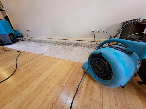 Professional Water Extraction technician working in Elko, NV